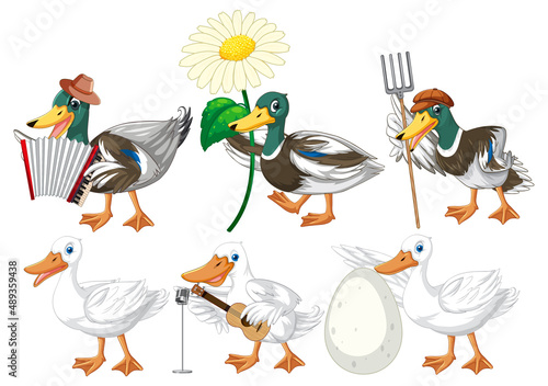 Set of different poses of ducks cartoon characters