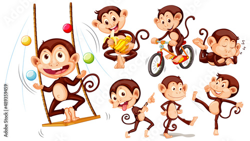 Set of different poses of monkeys cartoon characters