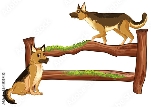 Funny dog with wooden fence