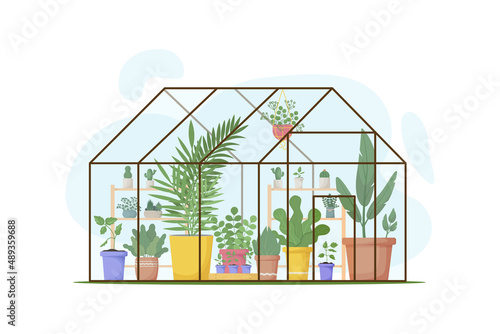 Planting greenhouse. Glass orangery, botanical garden greenhouse. Home garden, succulents, flowers, potted plants.  Plants hanging on ropes. For posters, banners, postcards. Vector illustration 