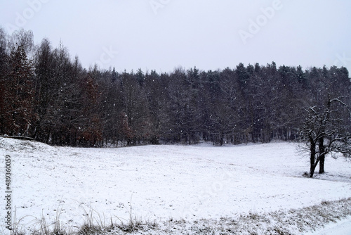 Schneewiese, Wald und Schneefall