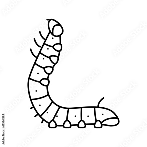 hatchlings silkworm line icon vector illustration