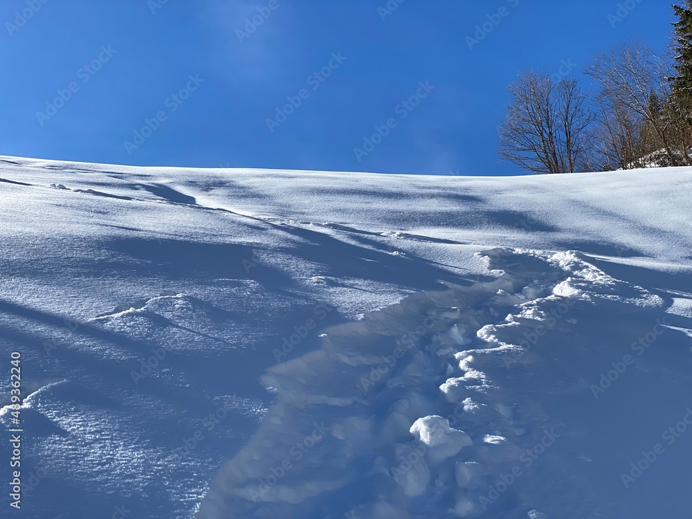 A magical play of sunlight and shadow during the alpine winter on the snowy slopes of the Churfirsten mountain range in the Obertoggenburg region, Alt St. Johann - Switzerland (Schweiz) A magical play of sunlight and shadow during the alpine winter on the snowy slopes of the Churfirsten mountain range in the Obertoggenburg region, Alt St. Johann - Switzerland (Schweiz)
