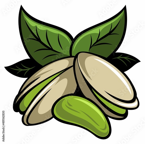 Vector realistic pistachio nuts with leaves, isolated on white background.