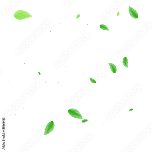 Greenish Plant Background White Vector. Greenery Silhouette Design. Bio Frame. Green Pure Illustration. Sheet Life.
