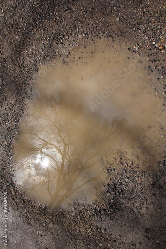 Valokuva Vertical shot of wet ground with a muddy puddle and a tree reflected on it