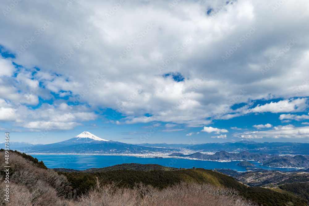 達磨山高原展望台からの富士山と駿河湾