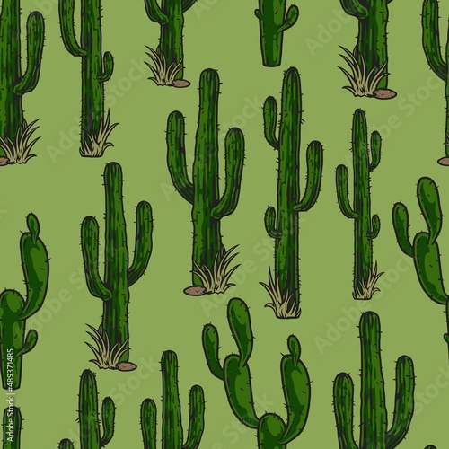 Spiny cactuses on green background