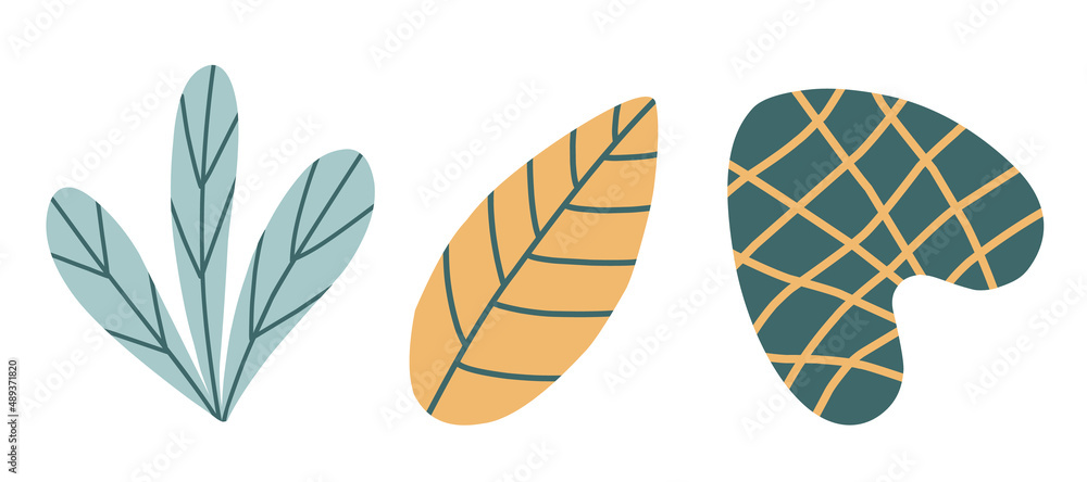 A set of stylized various twigs, leaves, flowers for decoration. Vector color illustration in a flat Scandinavian style, isolated on a white background. A set of stylized various twigs, leaves, flowers for decoration. Vector color illustration in a flat Scandinavian style, isolated on a white background.