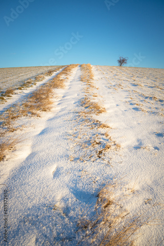 winter path with snow upon a hill in Burgenland