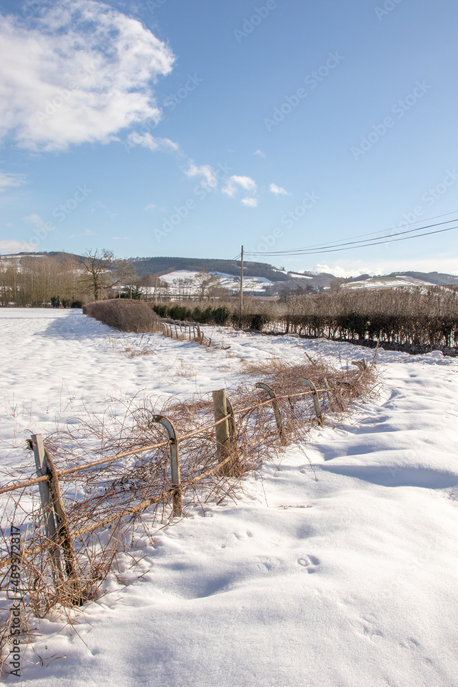 Snow covered land and fence.
