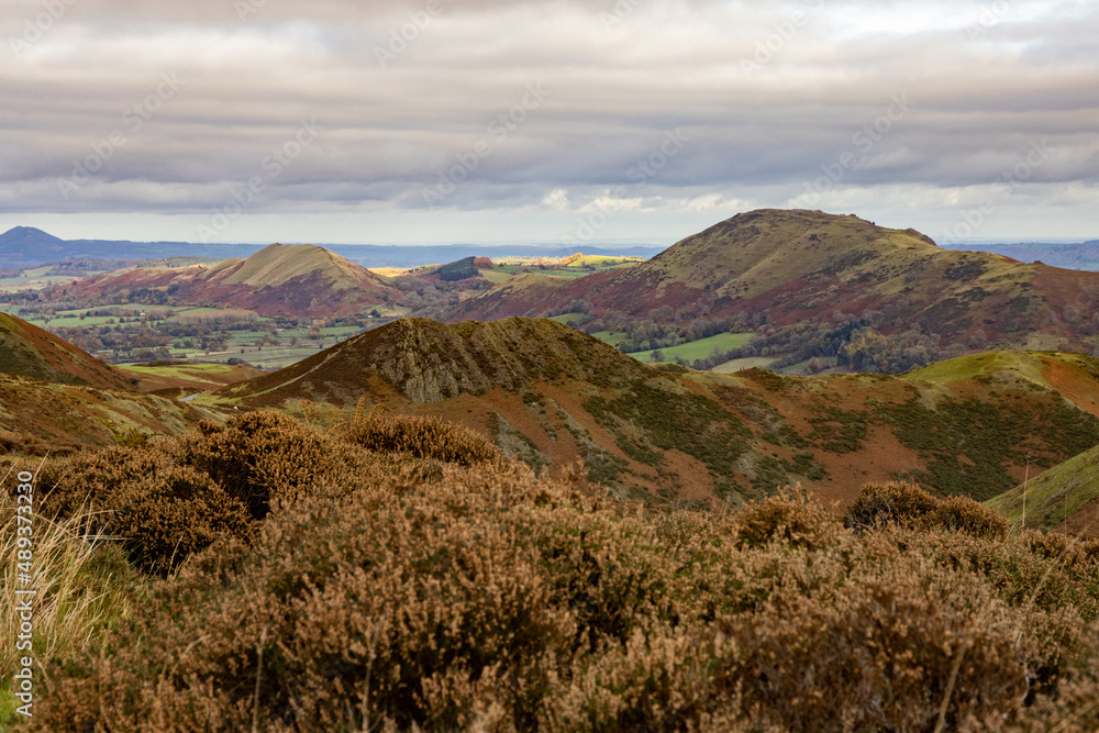 Undulating scenery of Long Mynd in the Shropshire Hills, looking towards the south