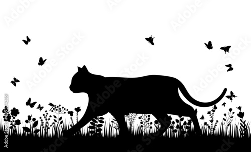 cat walking on the grass silhouette  isolated