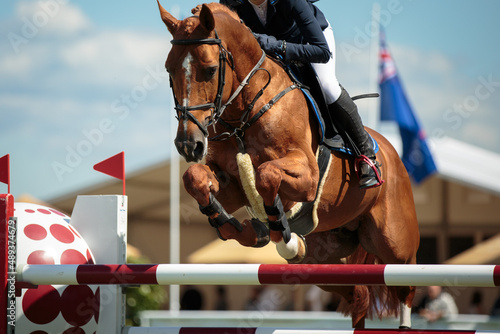 Fototapeta Horse Jumping, Equestrian Sports, Show Jumping themed photo.