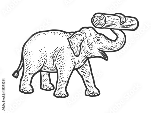 working elephant with log in its trunk sketch engraving vector illustration. T-shirt apparel print design. Scratch board imitation. Black and white hand drawn image.