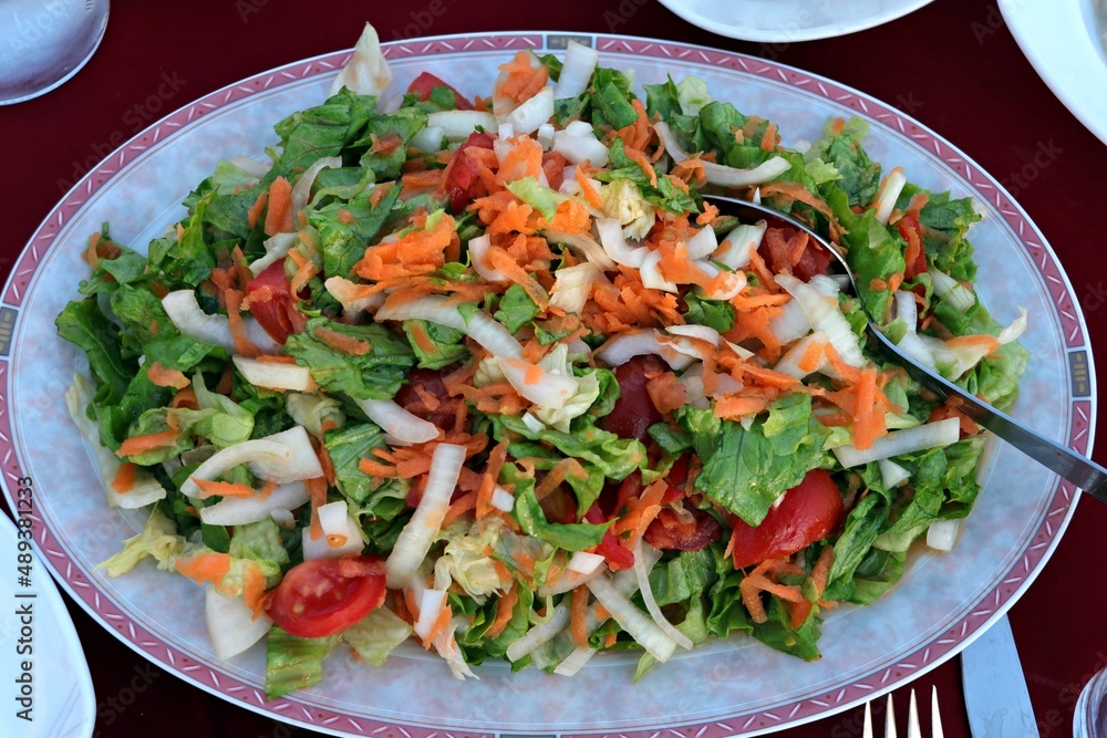 Delicious salad prepared with tomatoes, lettuce and onions