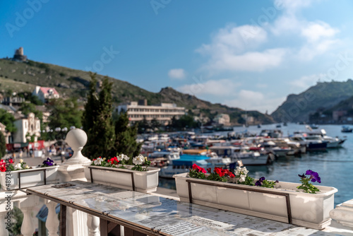 A beautiful view through the bright flowers of petunias to the sea bay with yachts. Turquoise sea against the backdrop of mountains and a clear blue sky.