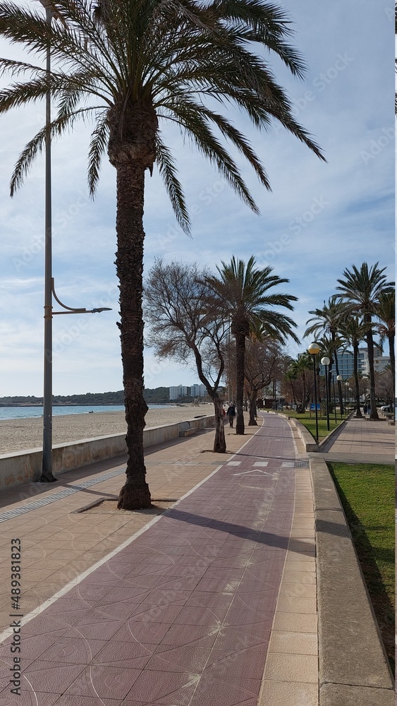 Fototapeta premium Cala Millor Mallorca