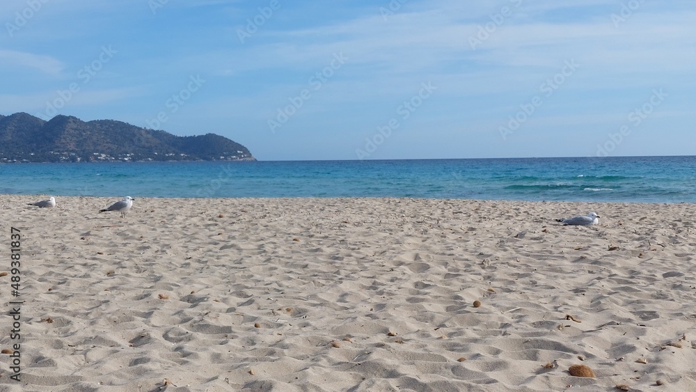 Obraz premium Cala Millor Mallorca