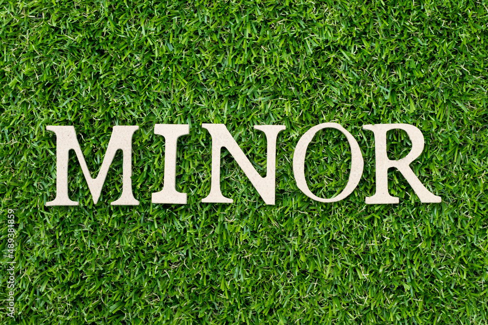 Wood alphabet letter in word minor on green grass background