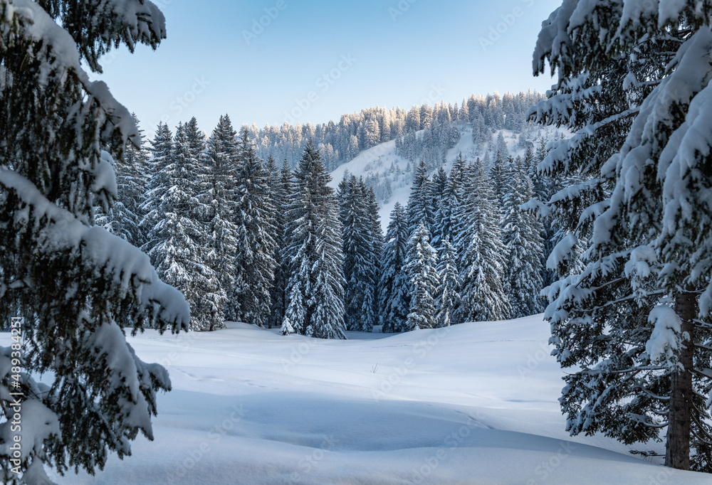 Obraz premium Winterlandschaft