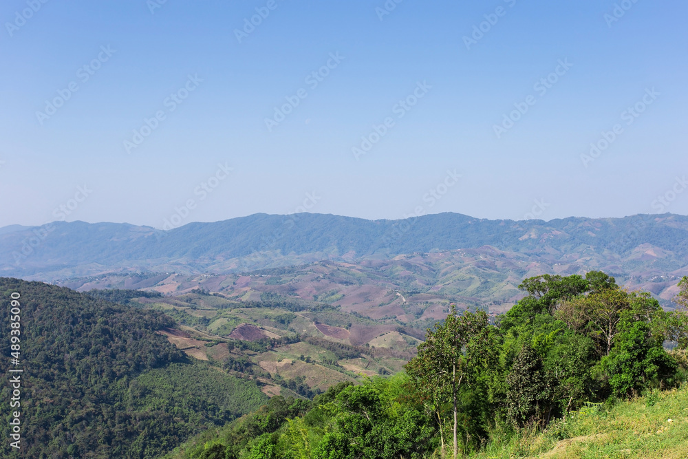 Natural landscape view among of green forest and white cloud with blue sky.