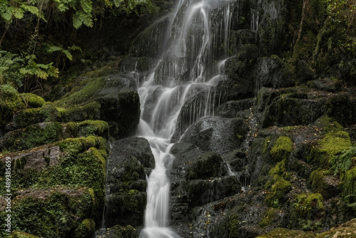 Waterfall  green landscape. Galicia  Spain