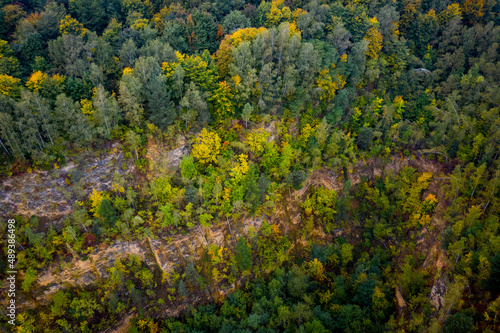 Beautiful nature reserve forest ecological landscape Earth Silesia Bytom UNESCO