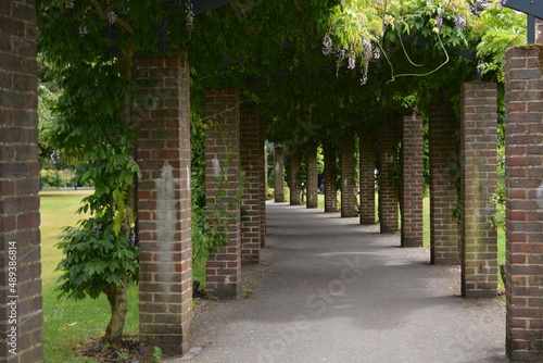 green quiet alley in the park