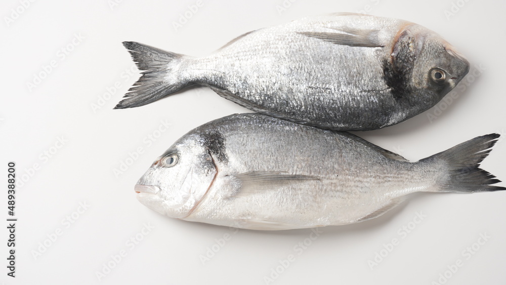 Raw fresh uncooked dorado or sea bream fish with lemon, herbs, cherry tomatoes and spices on black background Raw fresh uncooked dorado or sea bream fish with lemon, herbs, cherry tomatoes and spices on black background