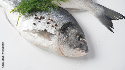 Raw fresh uncooked dorado or sea bream fish with lemon, herbs,  cherry tomatoes and spices on  black background