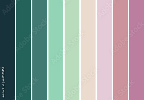 Vector illustration with palette with earth tones colors