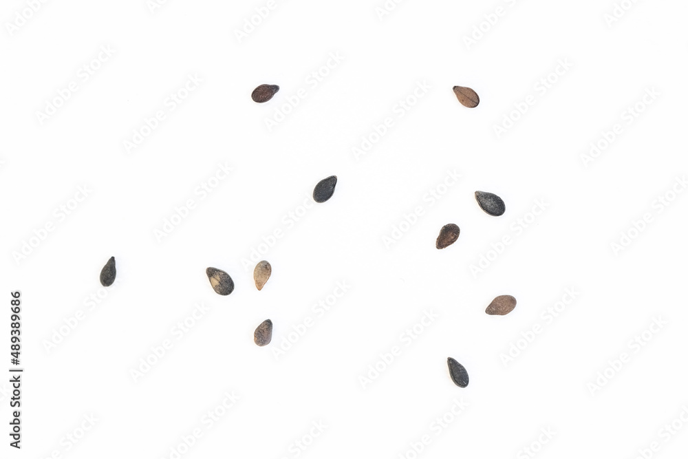 a few black sesame seeds scattered on a white background, organic small seeds of dark color