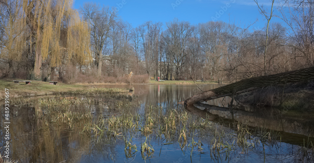 Pond in the park