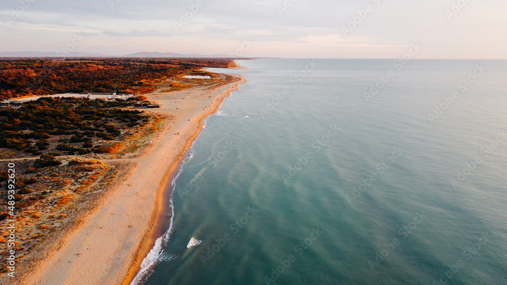 Aerial view of coastline and fall vegetation in Tuscany; Italy. Bird's eye view of sandy shore and Ligurian sea at sunset. Drone photography.