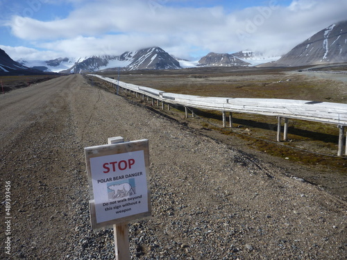 przydrożny znak ostrzegający o obecności niedźwiedzi polarnych przy jednej z szutrowych dróg na grenlandii © KOLA  STUDIO