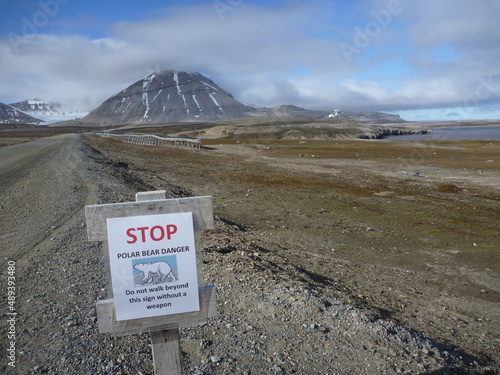 przydrożny znak ostrzegający o obecności niedźwiedzi polarnych przy jednej z szutrowych dróg na grenlandii