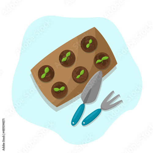 Sprouts grew from the seeds, gardening. Vector illustration