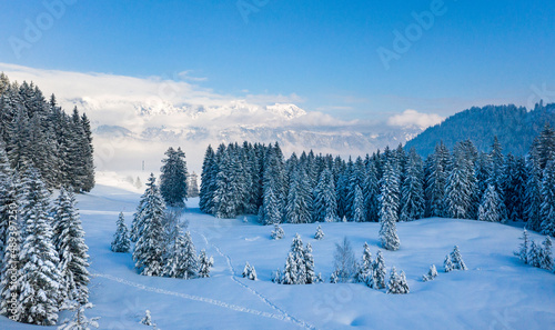Winterlich verschneite Landschaft