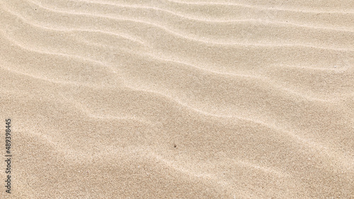 砂丘に現れる風紋
