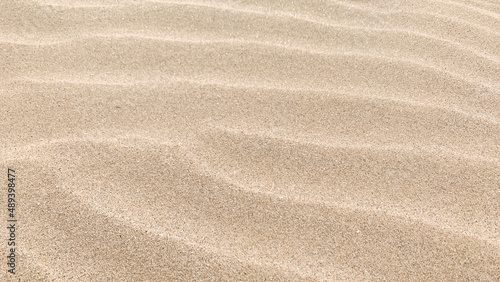 砂丘に現れる風紋