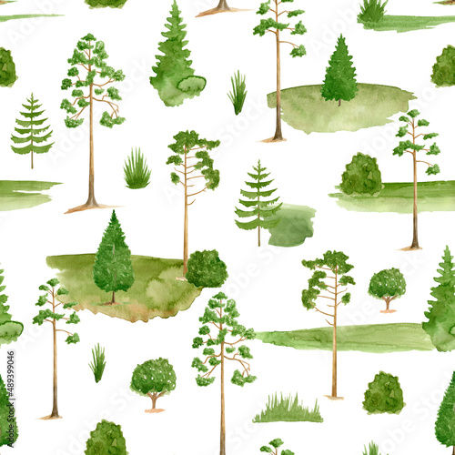 Watercolor forest seamless pattern. Hand drawn high green spruce and pine trees isolated on white. Summer landscape background. Spring woodland nature illustration. Camping design.
