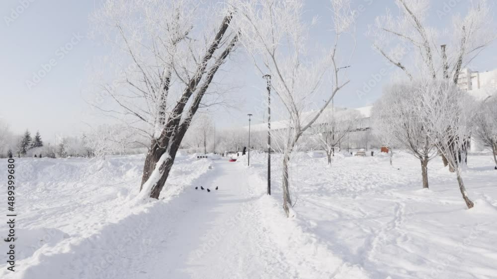 Snow-covered path in the city park Snow-covered path in the city park