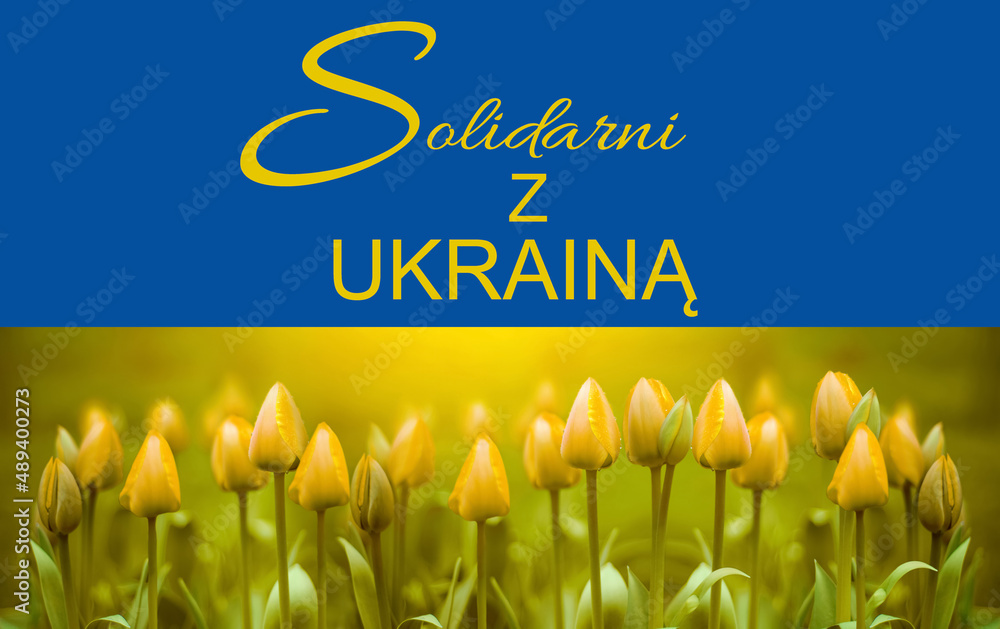 Naklejka premium Solidarni z Ukrainą. Ukraina