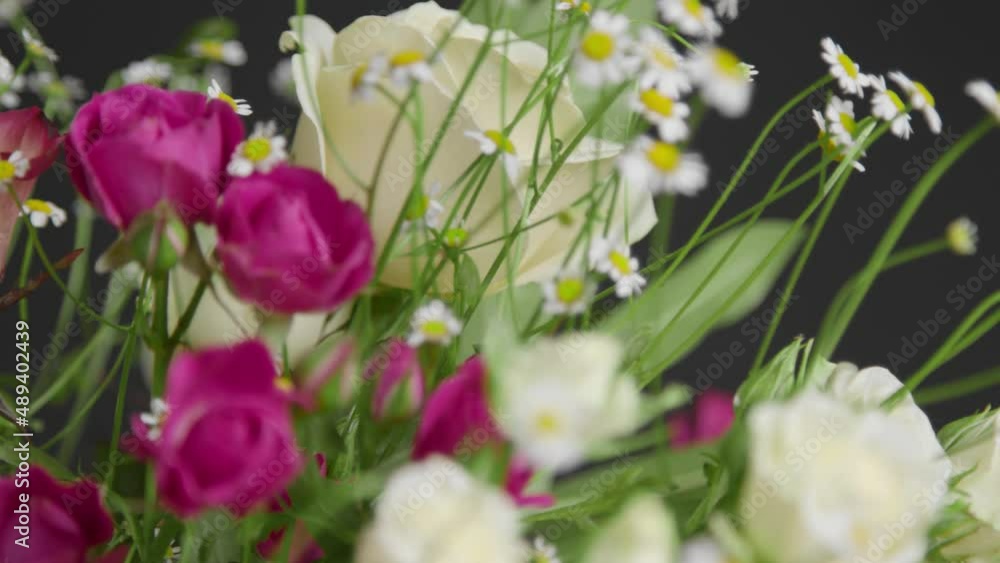 Close Up Shot of White and Pink Flowers 01 Close Up Shot of White and Pink Flowers 01