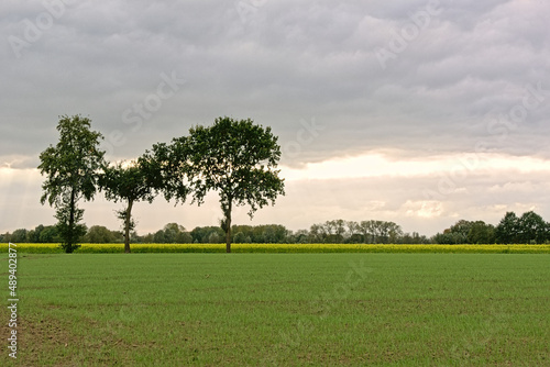 Lush green fields with trees under grey storm clouds in Oude Kalevallei nature reserve, Vinderhoute, Flanders, Belgium 