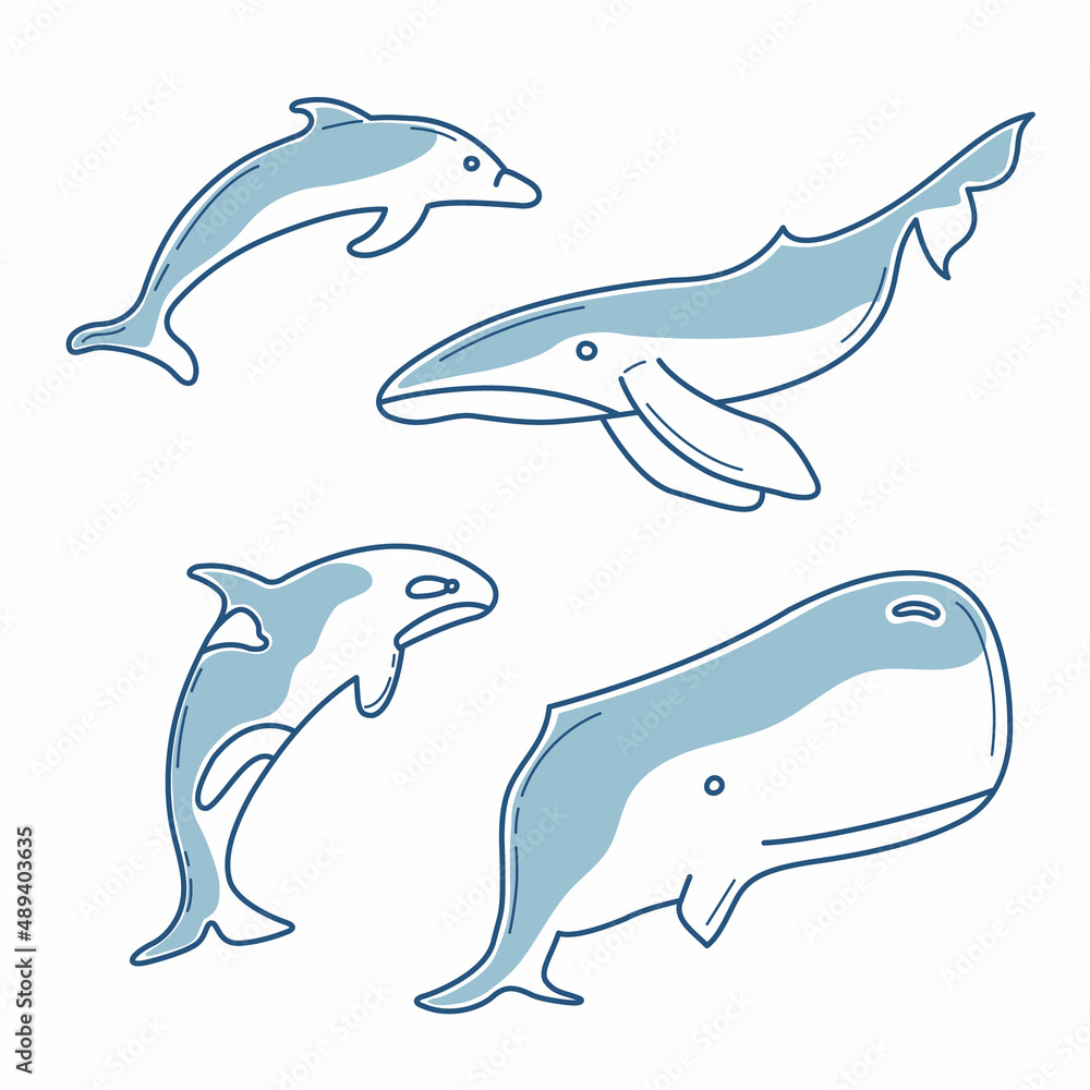 Fototapeta premium Set of vector illustrations with four marine inhabitants, a whale, a dolphin, a killer whale and a sperm whale in blue with partial filling.