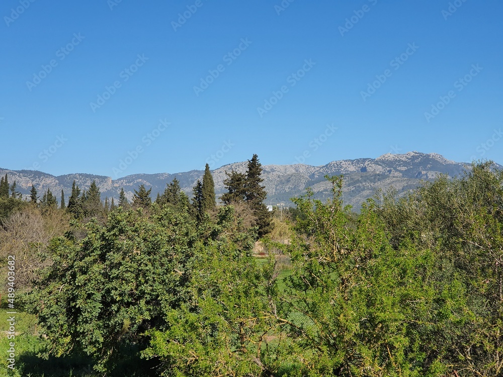 Mallorcan landscape next to the railway line of the historic 'tren (ferrocarril) de soller' (train (railway) to Soller), Mallorca, Balearic Islands, Spain, in the background the Tramuntana mountains Mallorcan landscape next to the railway line of the historic 'tren (ferrocarril) de soller' (train (railway) to Soller), Mallorca, Balearic Islands, Spain, in the background the Tramuntana mountains