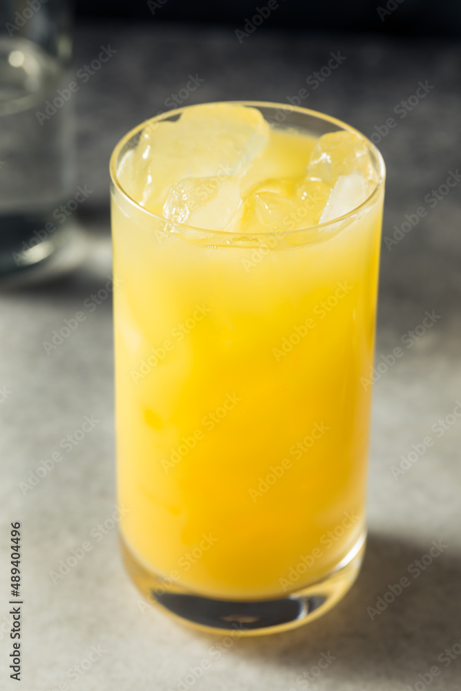 Boozy Cold Refreshing Gin and Juice Boozy Cold Refreshing Gin and Juice
