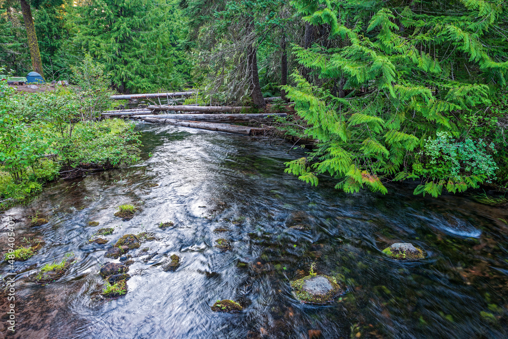 A campsite by the creek at the Clear Creek Crossing Campground in the Mount Hood National Forest, Oregon, USA A campsite by the creek at the Clear Creek Crossing Campground in the Mount Hood National Forest, Oregon, USA